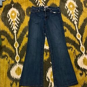 Banana Republic Blue Flare Wide Leg Jeans